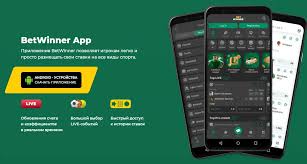 Experience the Thrill of Betting with Betwinner 1965787206