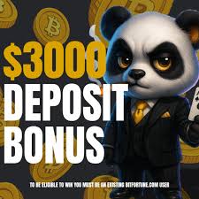 In-Depth Practical Review of The Bitfortune Site