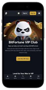 In-Depth Practical Review of The Bitfortune Site