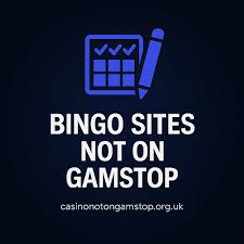 What Bingo Sites Are Not Understanding Their Limitations